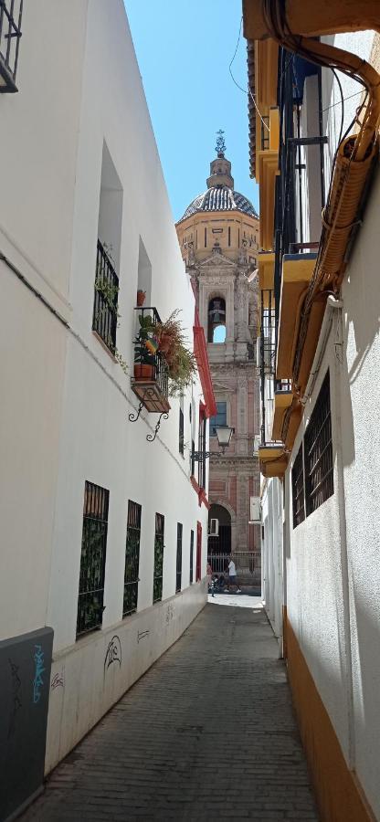 Apartamento Casco Historico Con Atico. Apartment Seville Ngoại thất bức ảnh